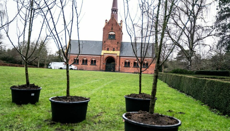 Tidligere minister og overborgmester Ritt Bjerregaard begraves på Vestre Kirkegård nær socialdemokratiske koryfæer som Anker Jørgensen og Thorvald Stauning. På gravpladsen plantes fem æbletræer, som Bjerregaard selv har udvalgt.