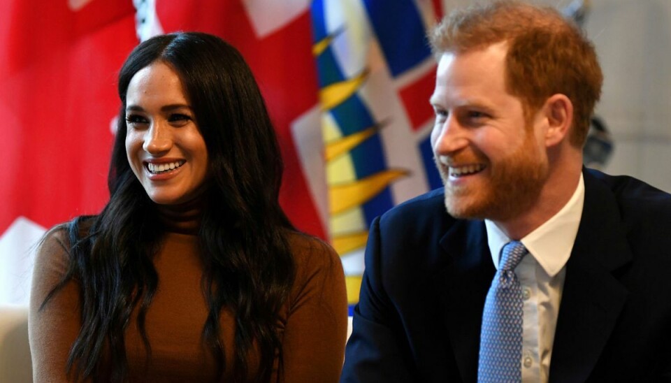 Harry og Meghan har adopteret en vandrøgtet hund.