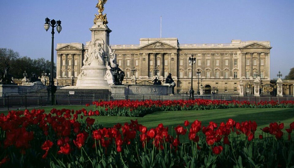 Buckingham Palace set fra havesiden.