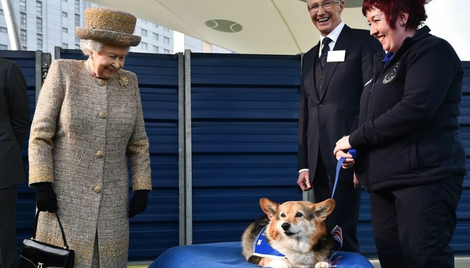 Dronning Elizabeth var glad for hunde af racen corgi. Her er hun fotograferet i 2015, da hun besøger et internat for hunde og katte i London.