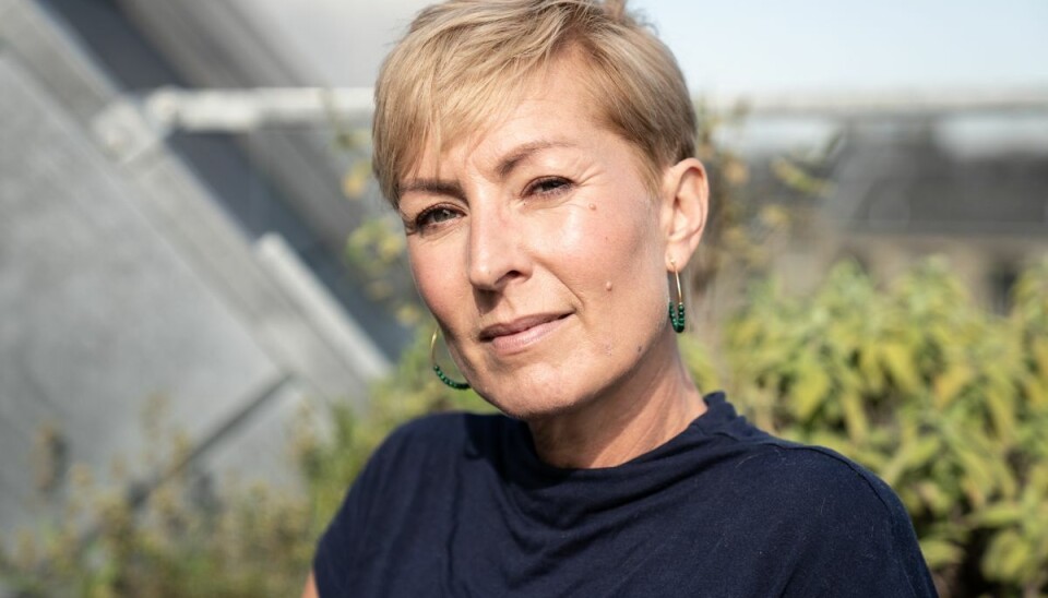 Journalist og studievært Cecilie Beck fotograferet i sin lejlighed i København den 22. september 2020. Journalist og studievært Cecilie Beck fotograferet i sin lejlighed i København den 22. september 2020.