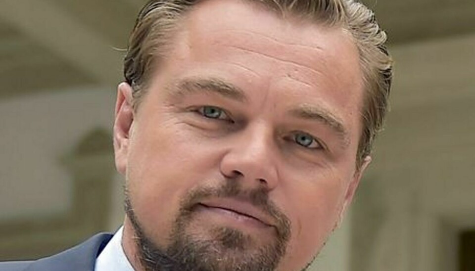 Leonardo DiCaprio har tilsyneladende fundet sammen med den 28-årige britiske tv-vært Maya Jama.
