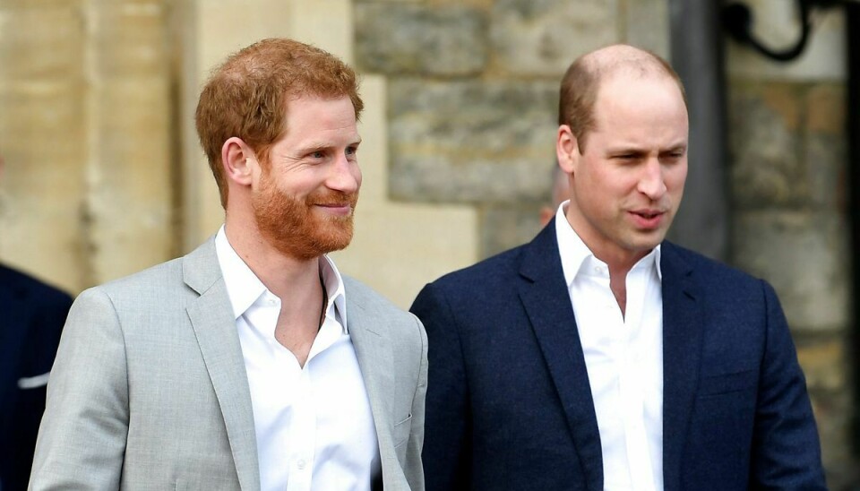 De to kongelige brødre kan nu angiveligt tale sammen igen - og gør det ifølge en royal kilde via en videoforbindelse hver eneste uge.