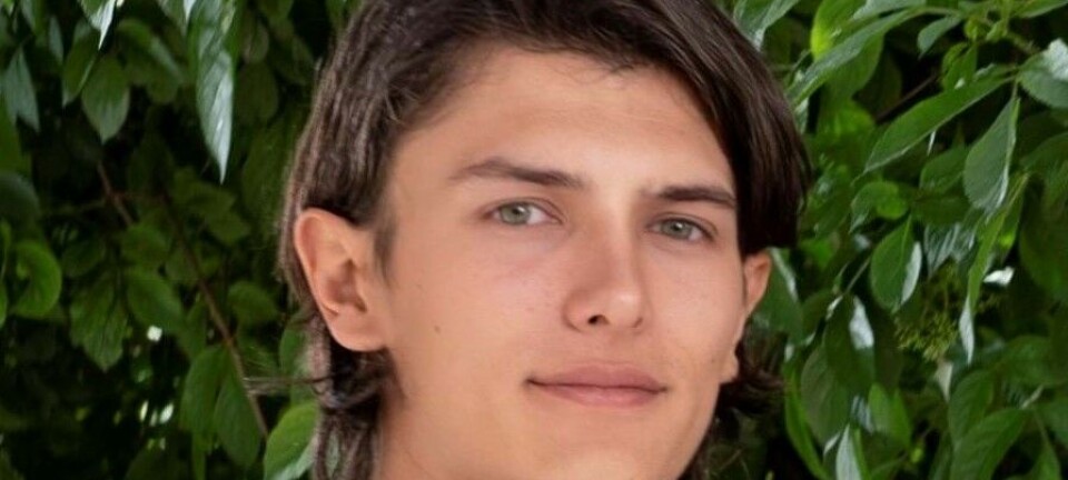 Se billederne: Romantik i sommervarmen