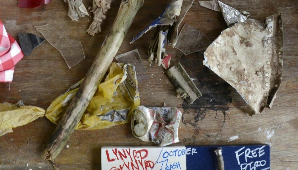 Forskellige dele, som senere er blevet fundet i nærheden af nedstyrtningsstedet.