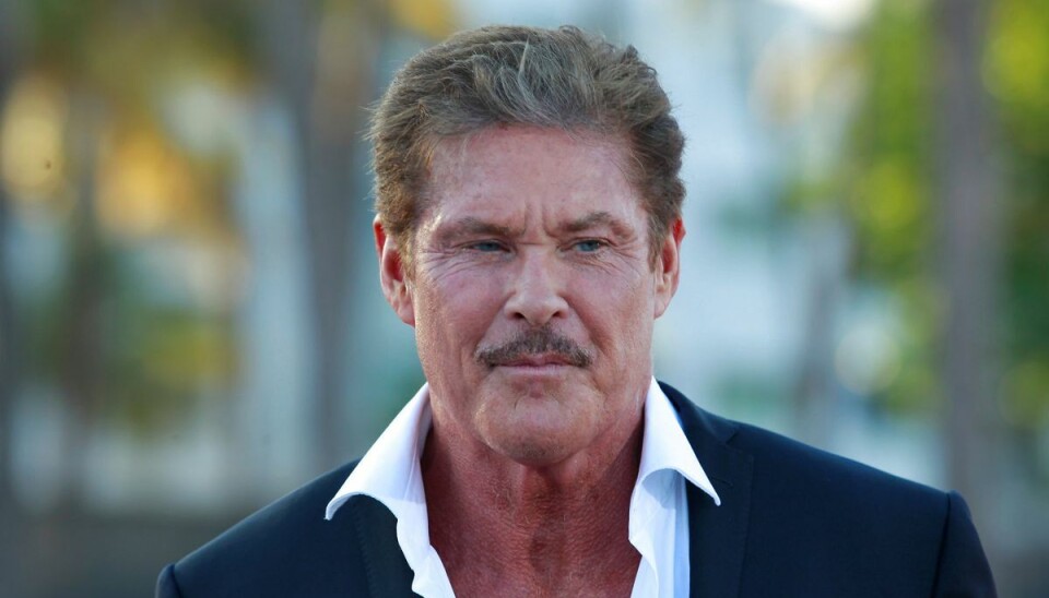 David Hasselhoff.