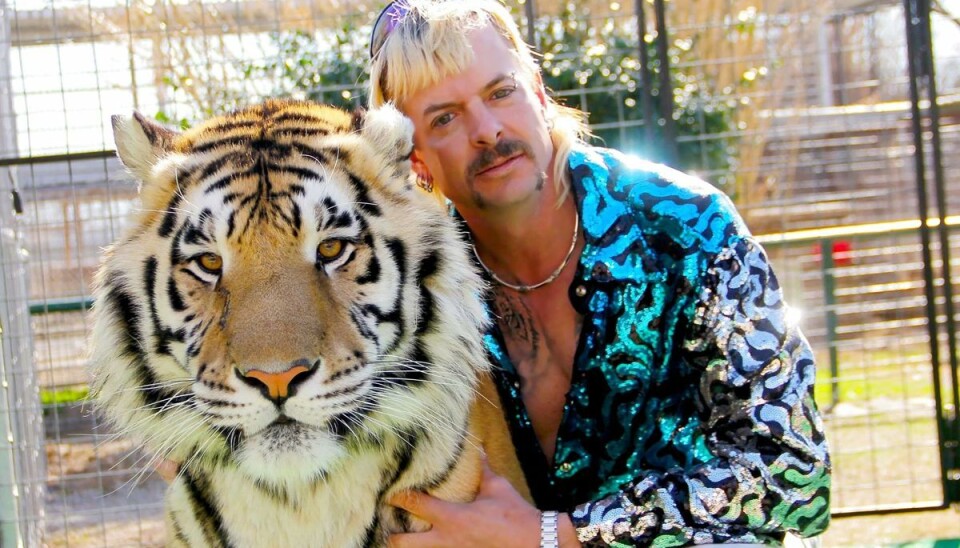 Joe Exotic blev et kendt ansigt blandt mange, da han i marts tonede frem på skærmen i Netflix-serien 'Tiger King'. (Arkivfoto) Joe Exotic blev et kendt ansigt blandt mange, da han i marts tonede frem på skærmen i Netflix-serien 'Tiger King'. (Arkivfoto)