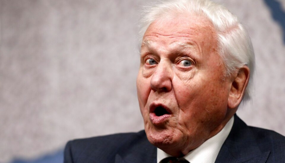 Sir David Attenborough tog sig i agt for aggressiv kaktus men blev alligevel angrebet.