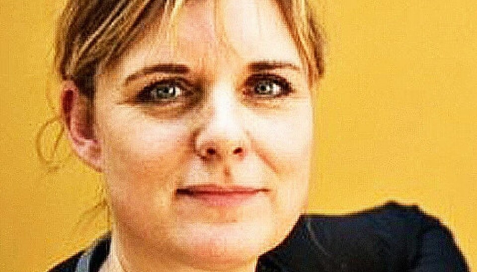 Louise Windfeld-Høeberg har tidligereværet udstationeret i Zimbabwe, Zambia og Nepal og arbejdet som korrespondent for Weekendavisen og TV 2. (Privatfoto). Louise Windfeld-Høeberg har tidligereværet udstationeret i Zimbabwe, Zambia og Nepal og arbejdet som korrespondent for Weekendavisen og TV 2. (Privatfoto).