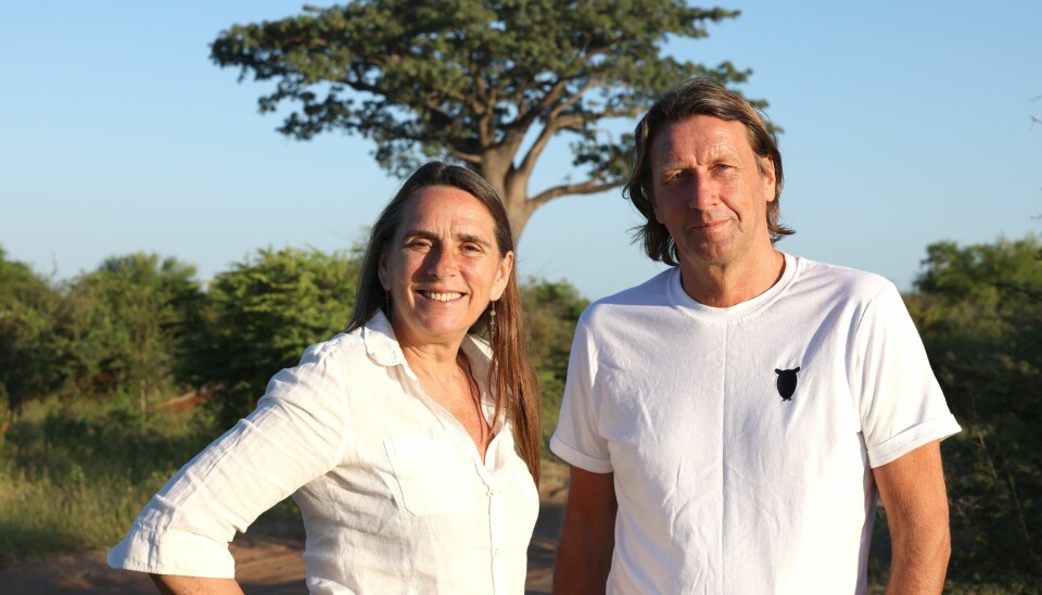 Anne Hjernøe og kollegaen Anders Agger er tilbage.