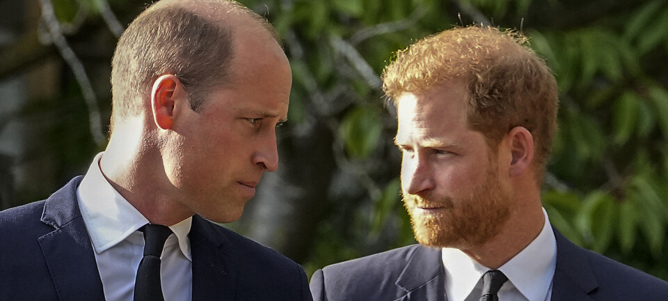 William og Charles bryder isen