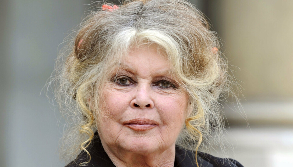 Det er over 50 år siden, at Brigitte Bardot indspillede sin sidste film. Men hendes berømmelse som ung og hendes senere kamp som dyreaktivist har holdt hendes navn i avisspalterne gennem mange år. Her er hun fotograferet i 2007 i forbindelse med et møde med den franske præsident. (Foto: ERIC FEFERBERG/Ritzau Scanpix)