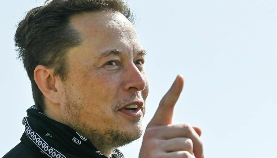Tesla-direktør Elon Musk er blevet single