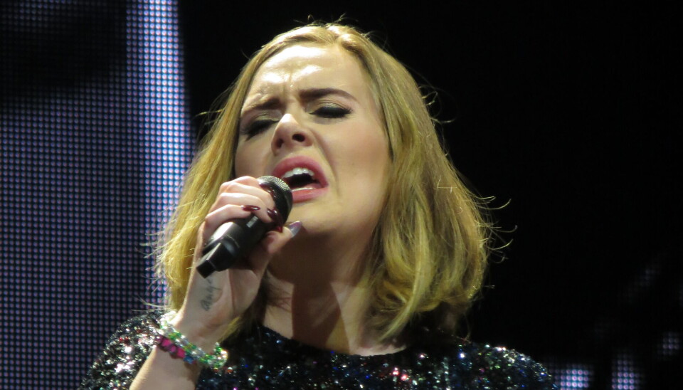 Adele bryder sammen i gråd under koncert