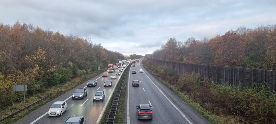 Livsfarligt: Chok på motorvej