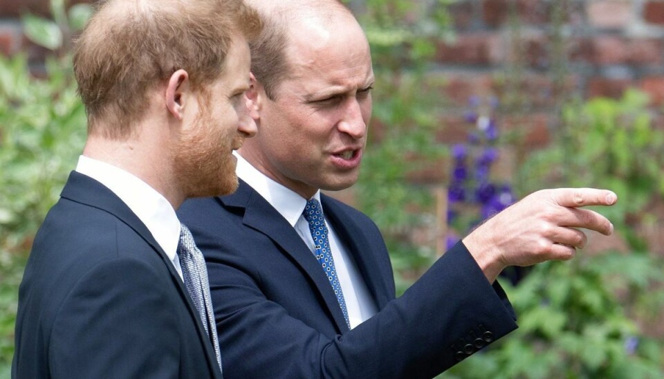 Billedet her viser prins Harry og prins William ved afsløringen af Diana statuen i juli måned. Dominic Lipinski/Pool via REUTERS Billedet her viser prins Harry og prins William ved afsløringen af Diana statuen i juli måned. Dominic Lipinski/Pool via REUTERS