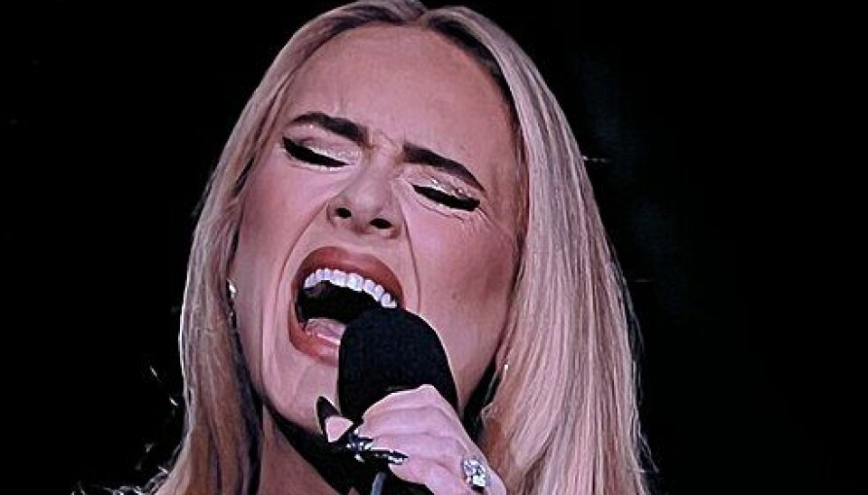 Adele har tidligere nævnt, at hun planlægger at tage en længere pause fra musikken efter denne turné