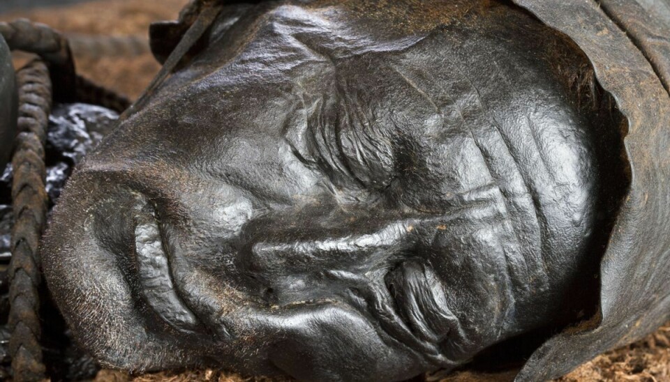 Tollundmanden er tilsyneladende en uudtømmelig kilde til ny viden om jernalderen. Tidligere på året præsenterede Museum Silkeborg en rekonstruktion af, hvordan han så ud, da han levede. Og senest har forskere nu kortlagt Tollundmandens sidste måltid Tollundmanden er tilsyneladende en uudtømmelig kilde til ny viden om jernalderen. Tidligere på året præsenterede Museum Silkeborg en rekonstruktion af, hvordan han så ud, da han levede. Og senest har forskere nu kortlagt Tollundmandens sidste måltid