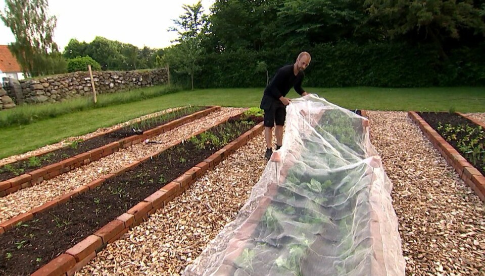 Søren Vester har to sønner med sin hustru, Dorthe Vester. Søren Vester er uddannet designer fra Danmarks Designskole. Han har desuden arbejdet som glaspuster i Aarhus. (Stillfoto) Søren Vester har to sønner med sin hustru, Dorthe Vester. Søren Vester er uddannet designer fra Danmarks Designskole. Han har desuden arbejdet som glaspuster i Aarhus. (Stillfoto)