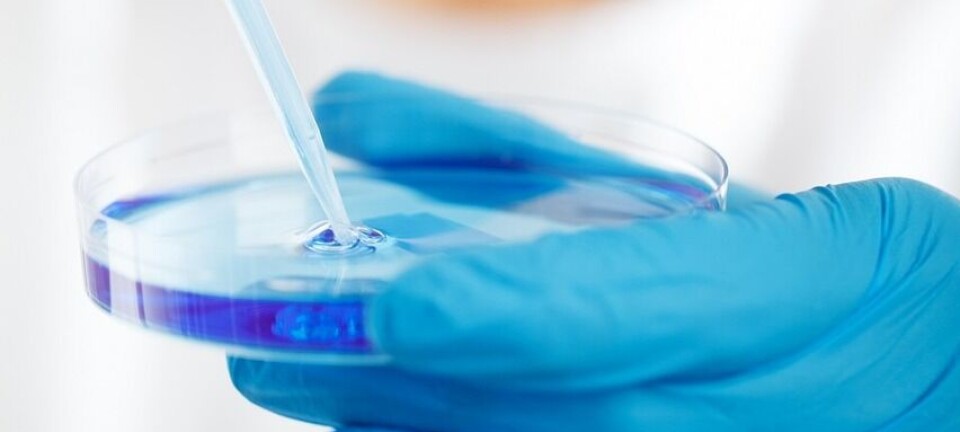 Frygtet virus spreder sig til fire europæiske lande