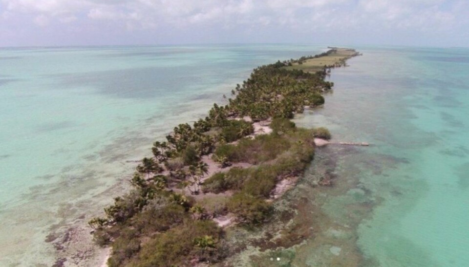 Leonardo DiCaprio har købt sin egen ø Sådan ser øen ud nu