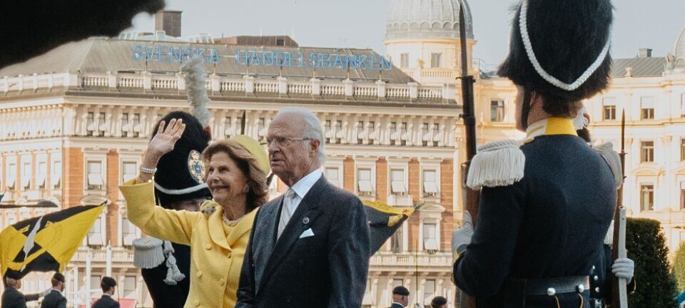 Stort bajonet-drama ved kongeslottet