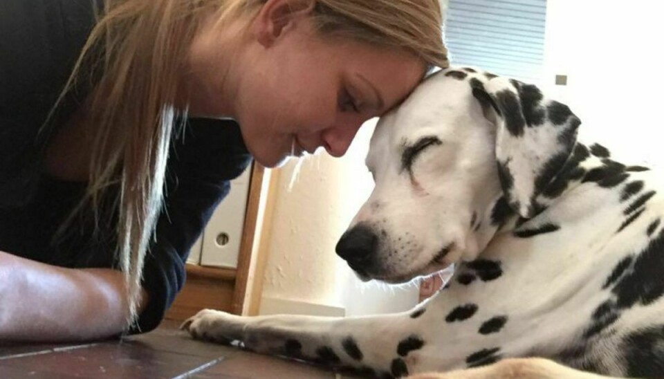 Anna Due har taget afsked med sin hund, Molly. Foto: Facebook