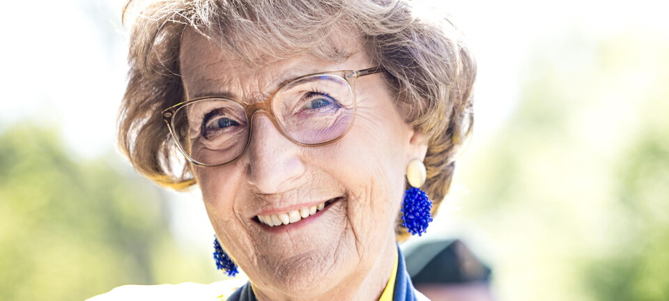 Prinsesse aflyser efter grimt styrt