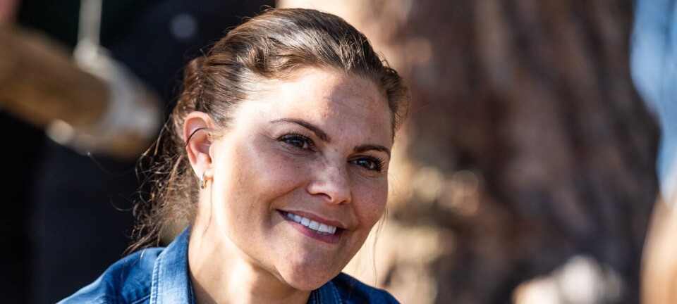 Sådan gik Victoriadagen