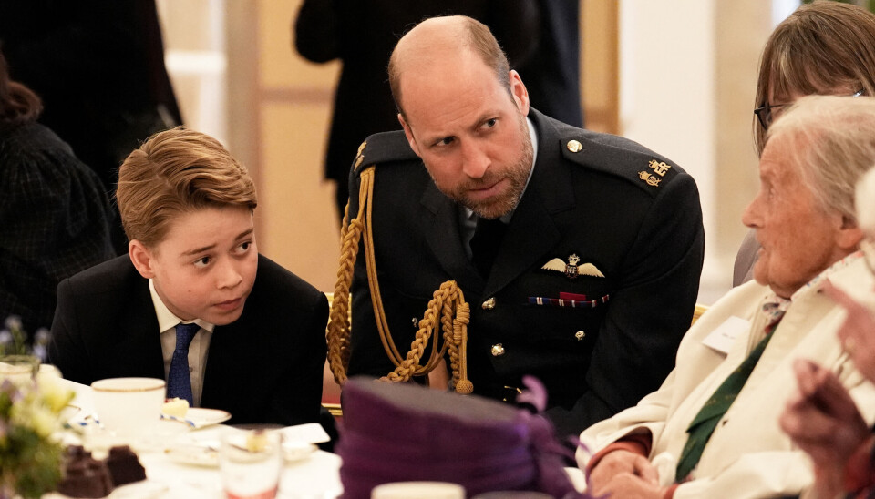 Prins George og Prins William lytter til krigsveteranerne.