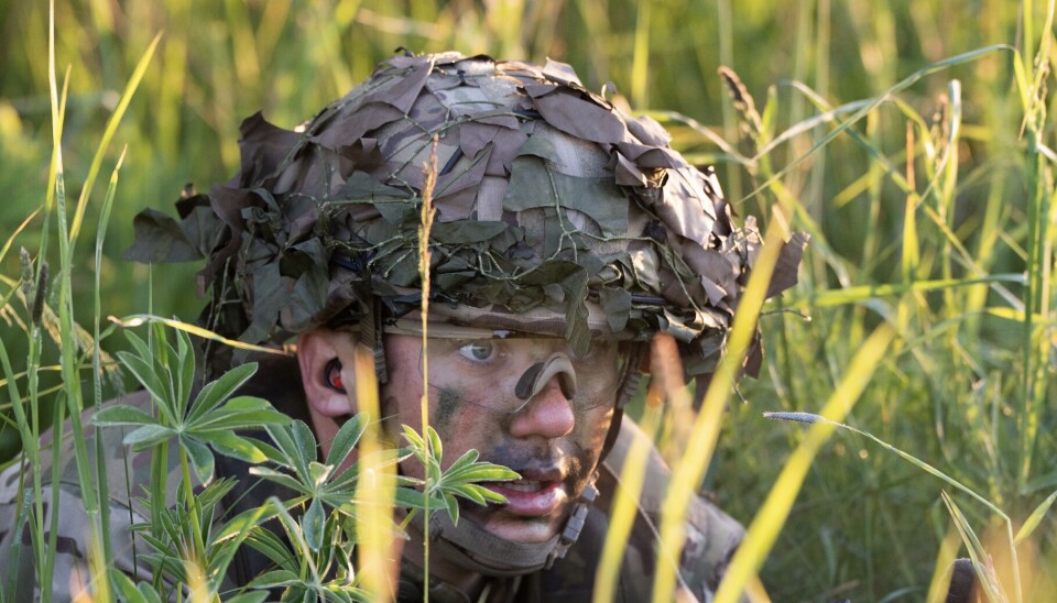 Godt camoufleret