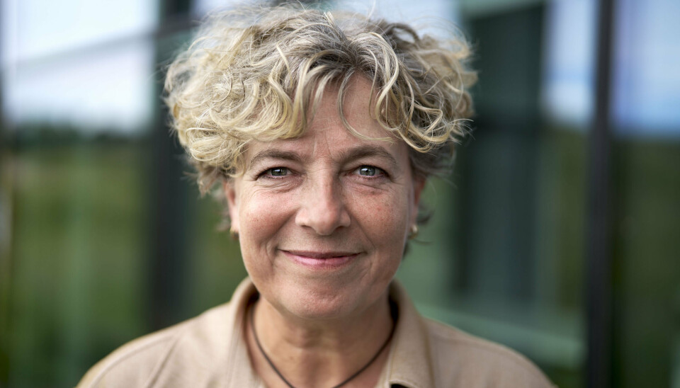 Christine Antorini var i mange år profileret folketingsmedlem og minister, men er i dag ved at uddanne sig til sygeplejerske.