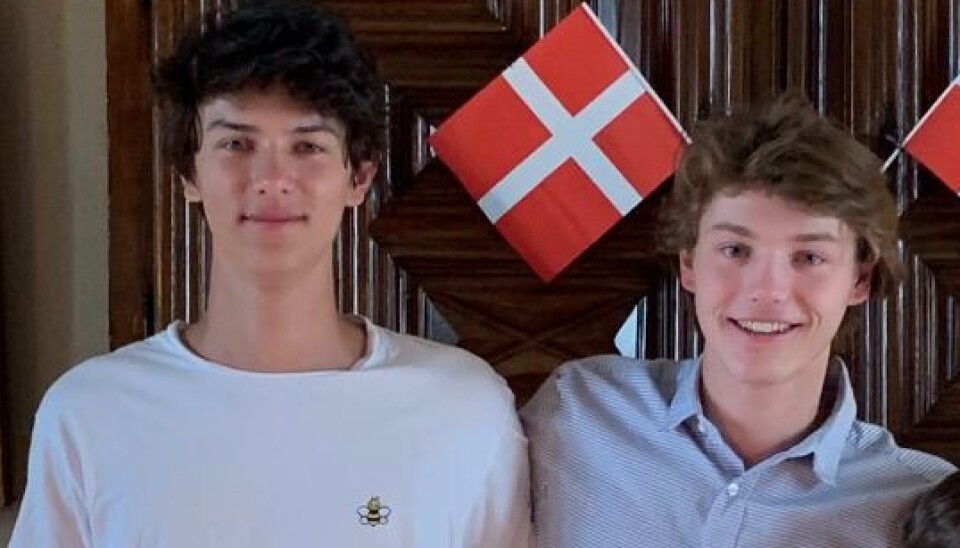 Grev Nikolai, 25 og 22-årige Grev Felix er sønnerne af grevinde Alexandra og Prins Joachim. Parret blev skilt i 2005.