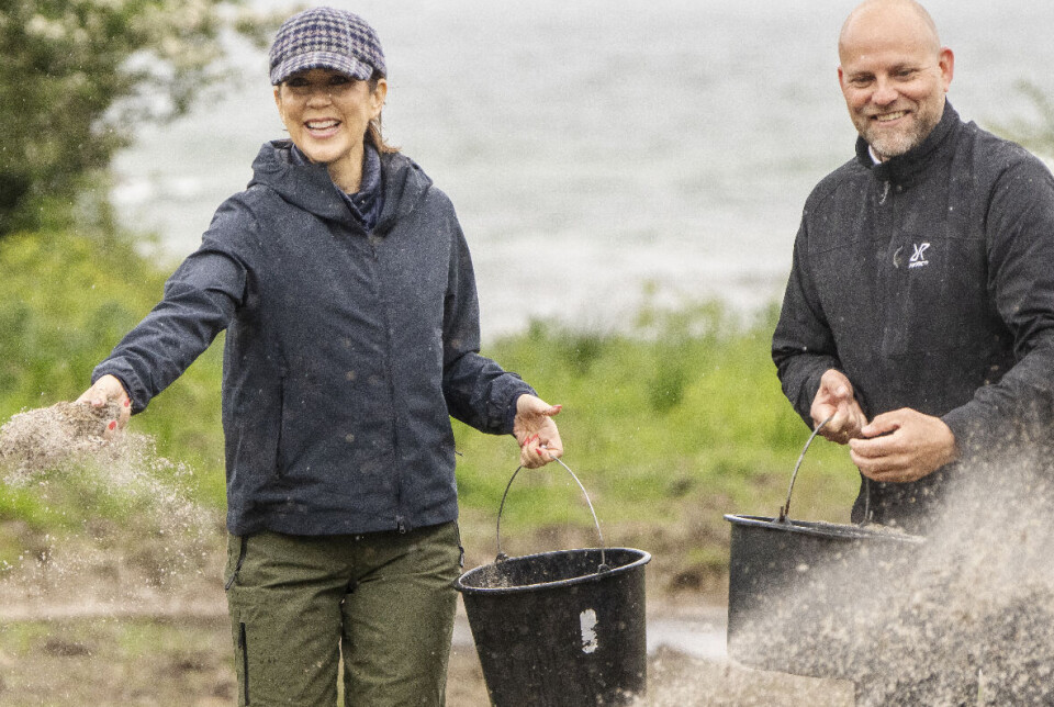 Mary hjælper her med at sprede en særlig frøblanding på en skoveng