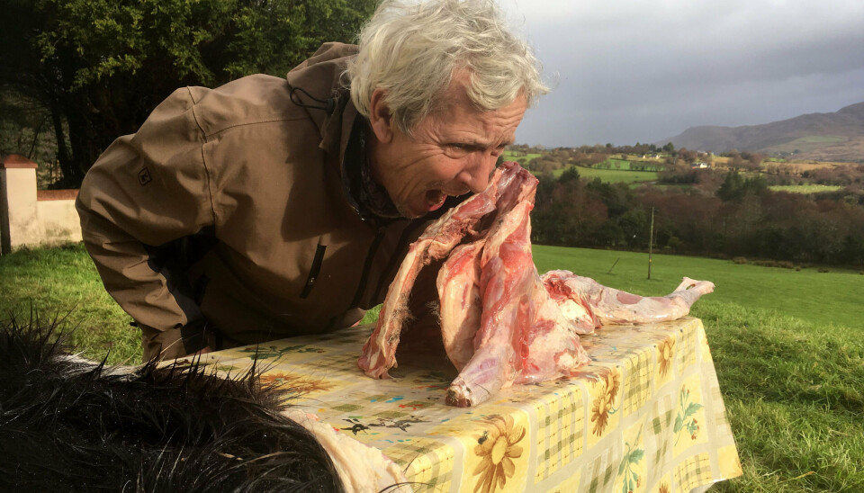 Efter 47 års ansættelse på DR, hvoraf de seneste 15 år har været i selskab med kendiskokken Nikolaj Kirk, er Jørgen Skouboe gået på pension. (PR-foto).