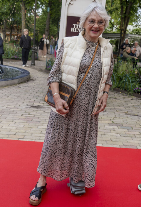 Pia Kjærsgaard med benstøtten for få uger siden.