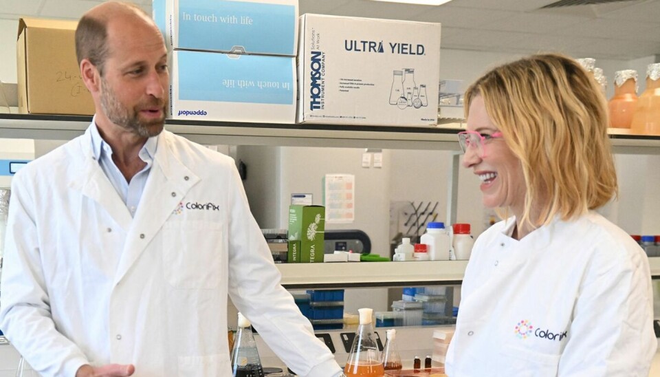 Prins William og Cate Blanchett under besøget hos Colorifix torsdag.