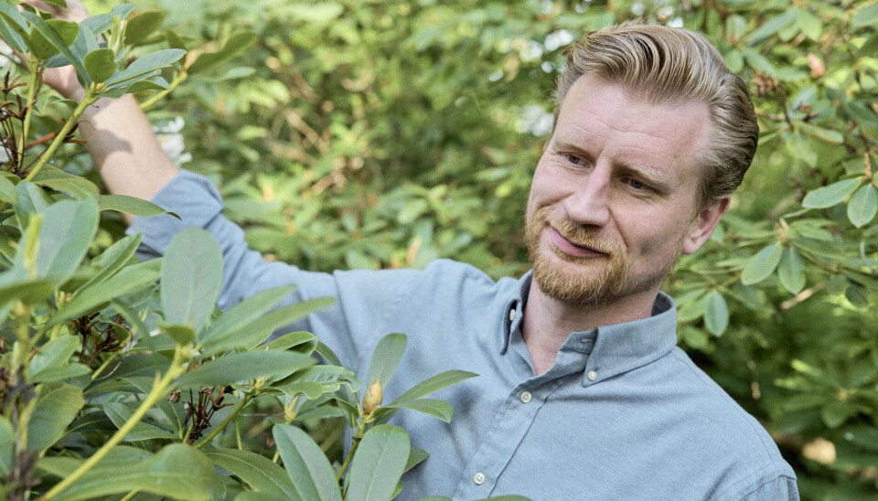 Når sommerroen har lagt sig, og Andreas Jebro ligesom resten af Danmark har tid til at tage døgnets ydertimer i brug, føles det som sommer. Sommeren er for ham kendetegnet ved mange minder.