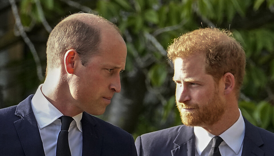 Prins William og prins Harry