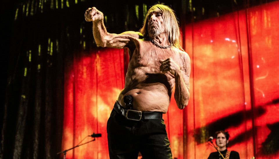 Iggy Pop skyggebokser under sin koncert på årets Smukfest. Rockmusikeren var iført lædervest, da han gik på scenen lørdag aften, men den smed han efter få sekunder og optrådte derefter i bar overkrop.