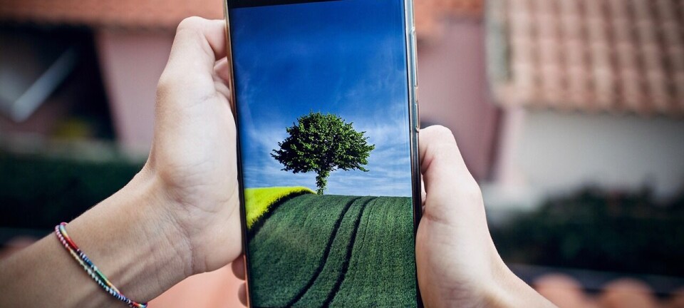 På udkig efter ny mobil? Her er de bedste Samsung-mobiler