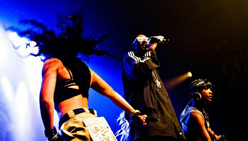 Hele 75 mennesker blev anholdt under en koncert med rapstjernerne Snoop Dogg og Wiz Khalifa. Foto: Søren Bidstrup/Scanpix (Arkivfoto)