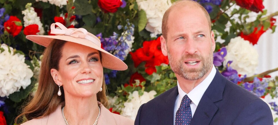 Endelig tilbage igen