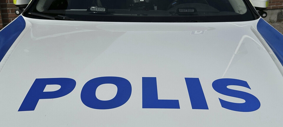 Manden fundet skudt i svensk skov