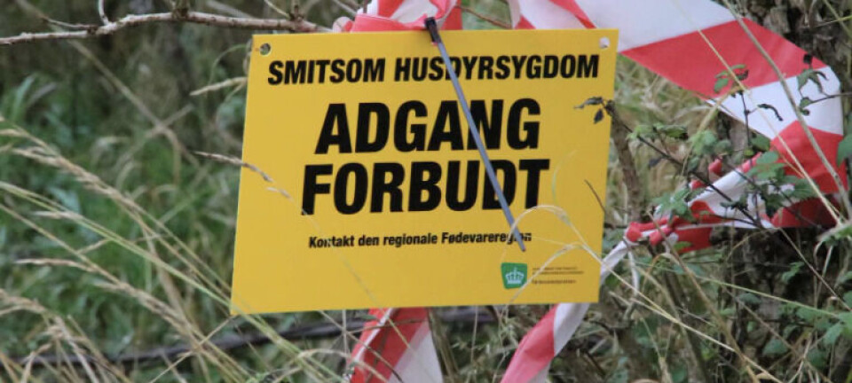 Professor advarer: Gør det ikke