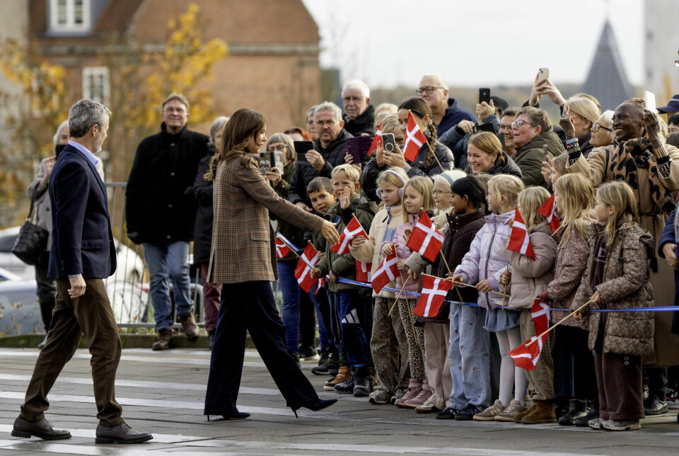Mange af de fremmødte havde taget flag med