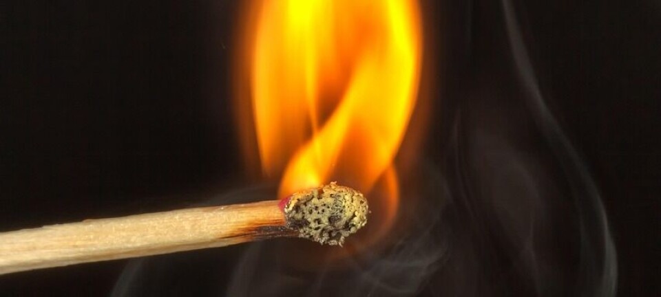 13-årige drenge sigtet i trist sag