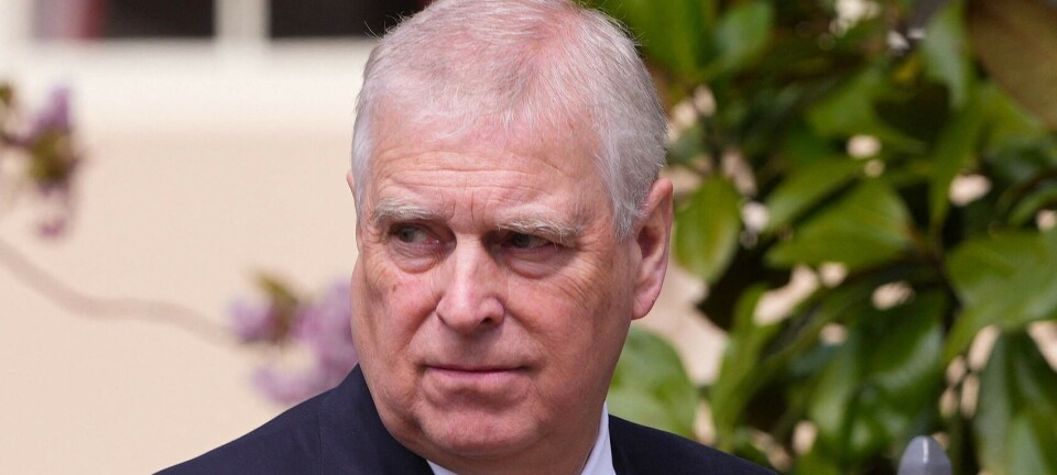 Mere prins Andrew-snavs på bordet