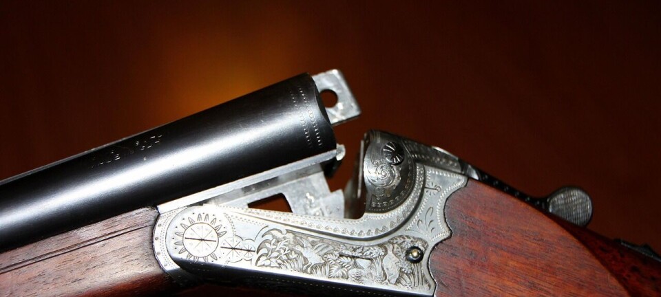 Jagtulykke: Kvinde ramt i hovedet