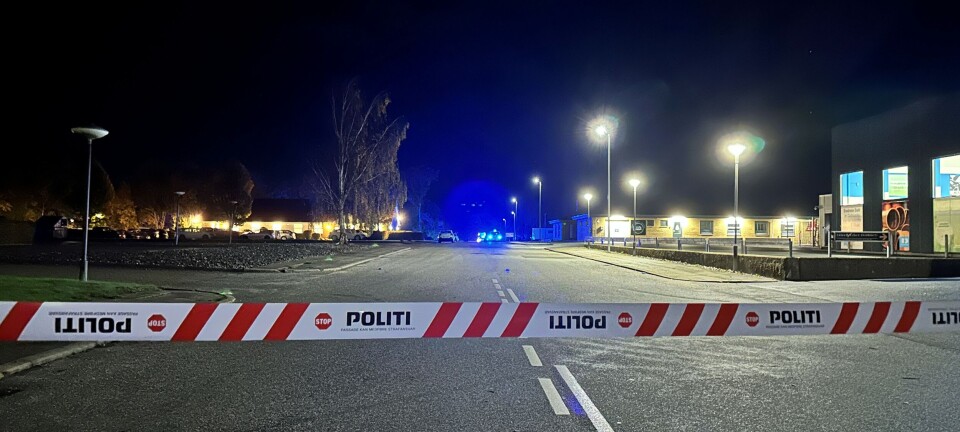 Ung mand dræbt i trafikulykke